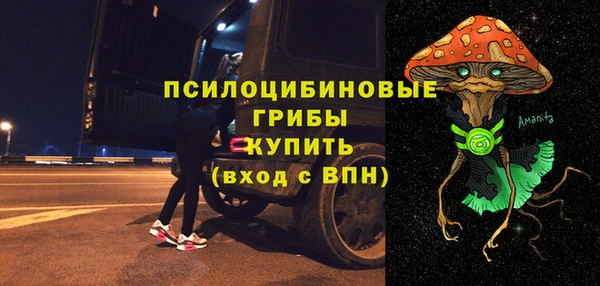 индика Абдулино
