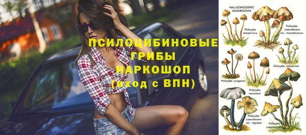 индика Абдулино
