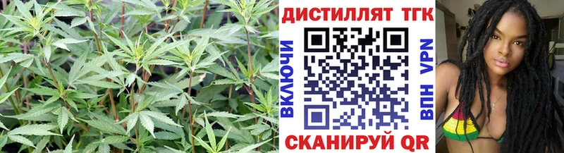 ТГК Wax  Мыски 