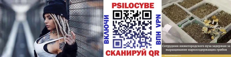 где купить наркоту  Мыски  Галлюциногенные грибы Magic Shrooms 