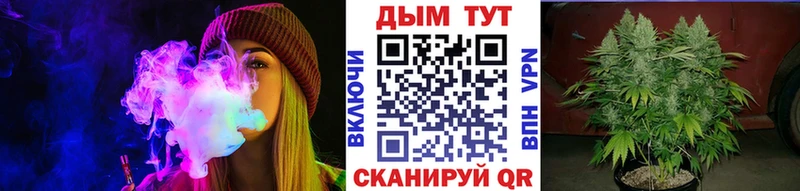 Конопля THC 21%  Мыски 